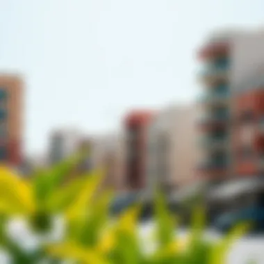Vibrant Neighborhood in Dubai Vibrant neighborhood with local amenities