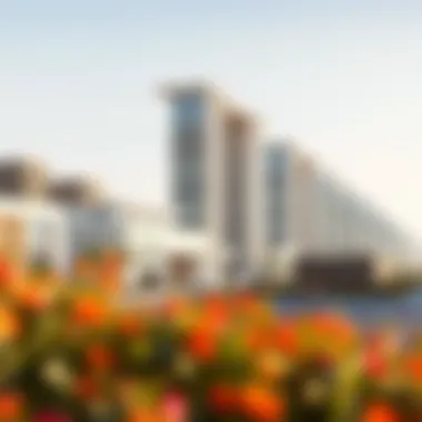 Architectural renderings of proposed mixed-use developments in Dubai South