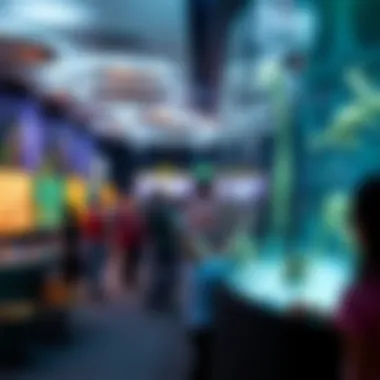 Interactive Museum Experience Interactive exhibit at a children's museum in Dubai