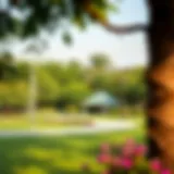 A serene view of a JVC community park surrounded by greenery