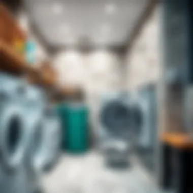 Exploring Laundry Options in Damac Hills 2 Summary Exploring Laundry Options in Damac Hills 2 Summary