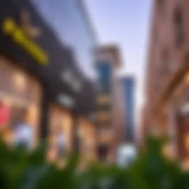 Exploring Trendy Avenues for Discounted Fashion Trendy discount avenues in Dubai