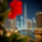 A stunning skyline view of Dubai Marina showcasing luxurious developments
