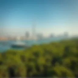 Aerial view of Shati Al-Qurm showcasing its lush mangroves against the Dubai skyline.