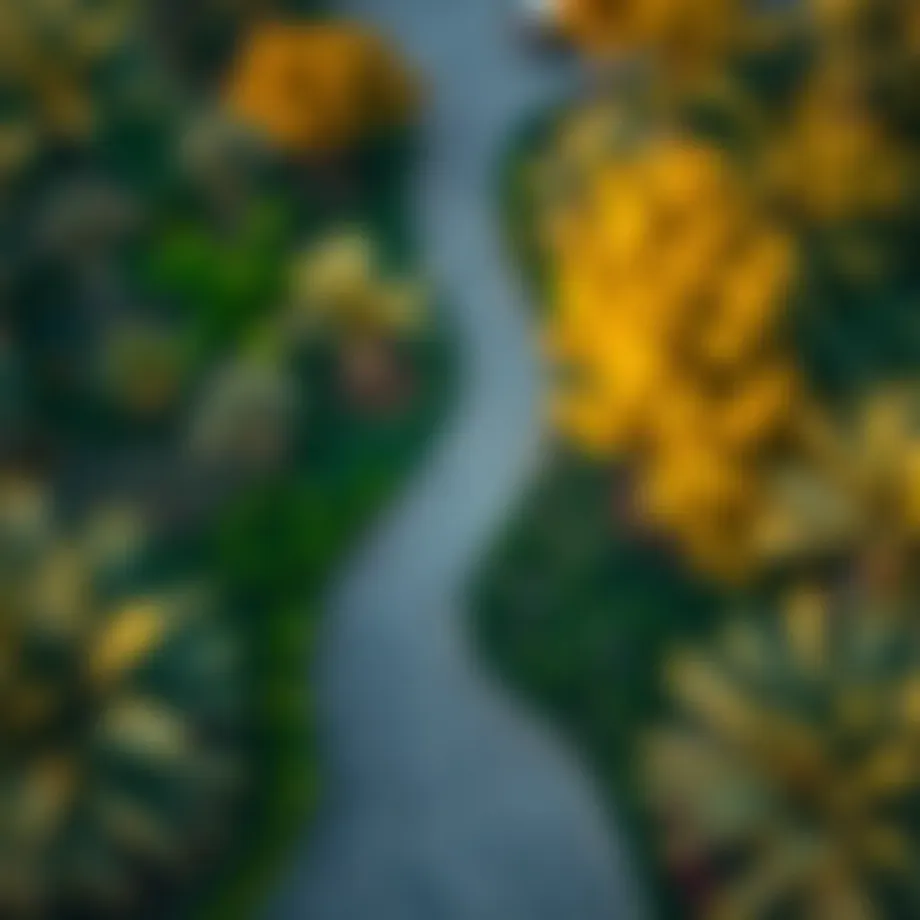 Aerial view of Gentle Park showcasing lush greenery and pathways
