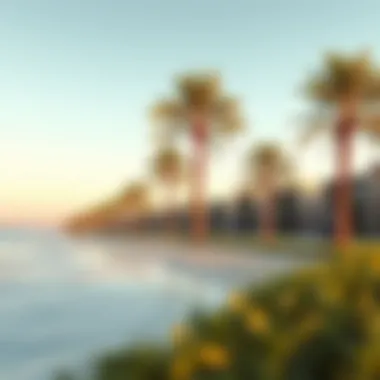 Beachfront Serenity in Nursery Palm Jumeirah Serene beachfront with palm trees highlighting the community's outdoor lifestyle.